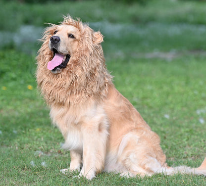 Lion Mane Wig for Dogs - Funny Furry Costume Accessory for Large Pets 