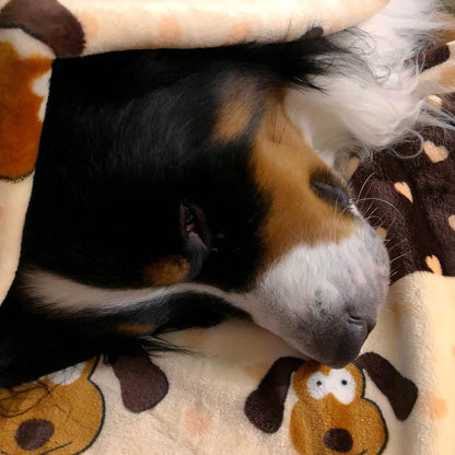 Snuggle Blanket for Pets