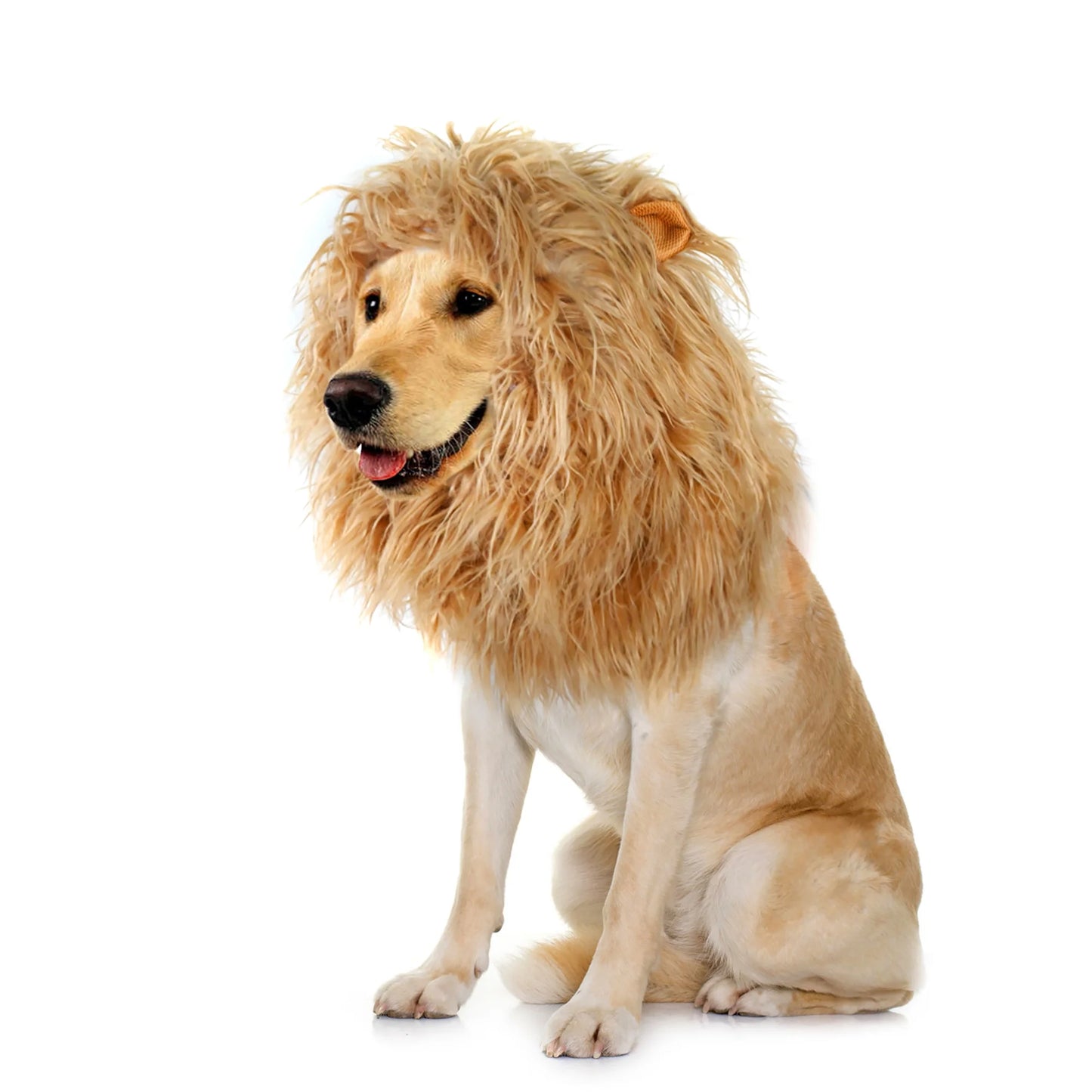 Lion Mane Wig for Dogs - Funny Furry Costume Accessory for Large Pets 