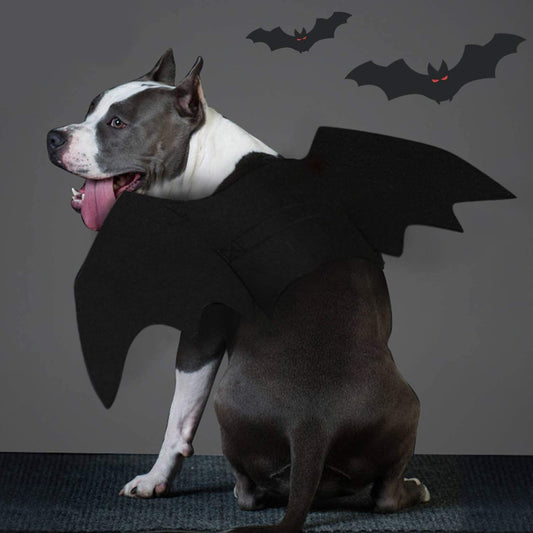 Spooky Bat Costume for Dogs & Cats - Halloween Party Wings